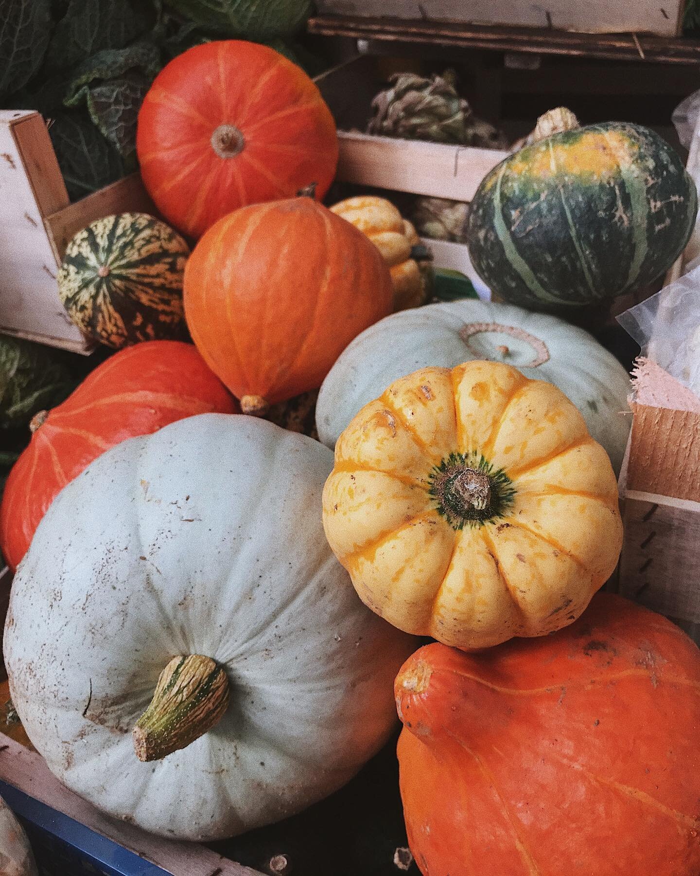 A lovely, sunny autumnal day at the shop today! Which means the squash &amp; pumpkin season is upon us 😃🎃 check out these beautiful colours and patterns! We&rsquo;ll be sharing last year&rsquo;s squash soup recipe with these soon

#adamsappleallert