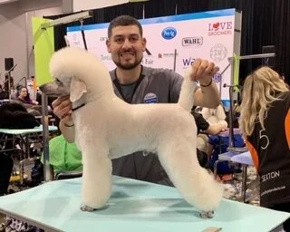 Why use an IPPGA Professional Groomer?
