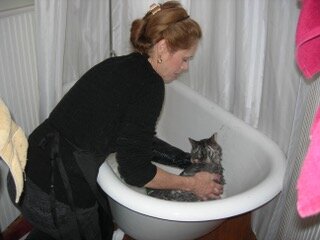 Sheryl & Gino bath.jpeg