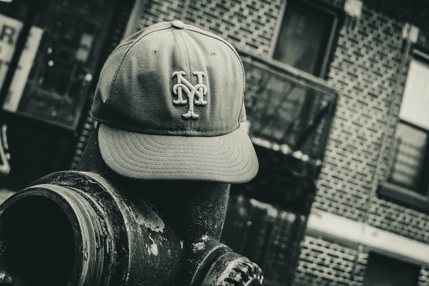 Flatbush, Brooklyn, New York