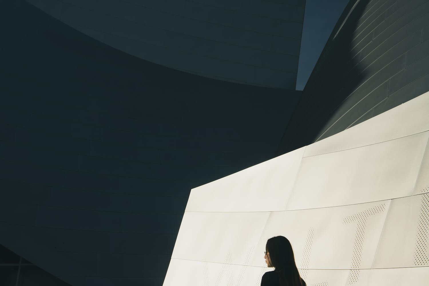 Walt Disney Concert Hall, Los Angeles, California
