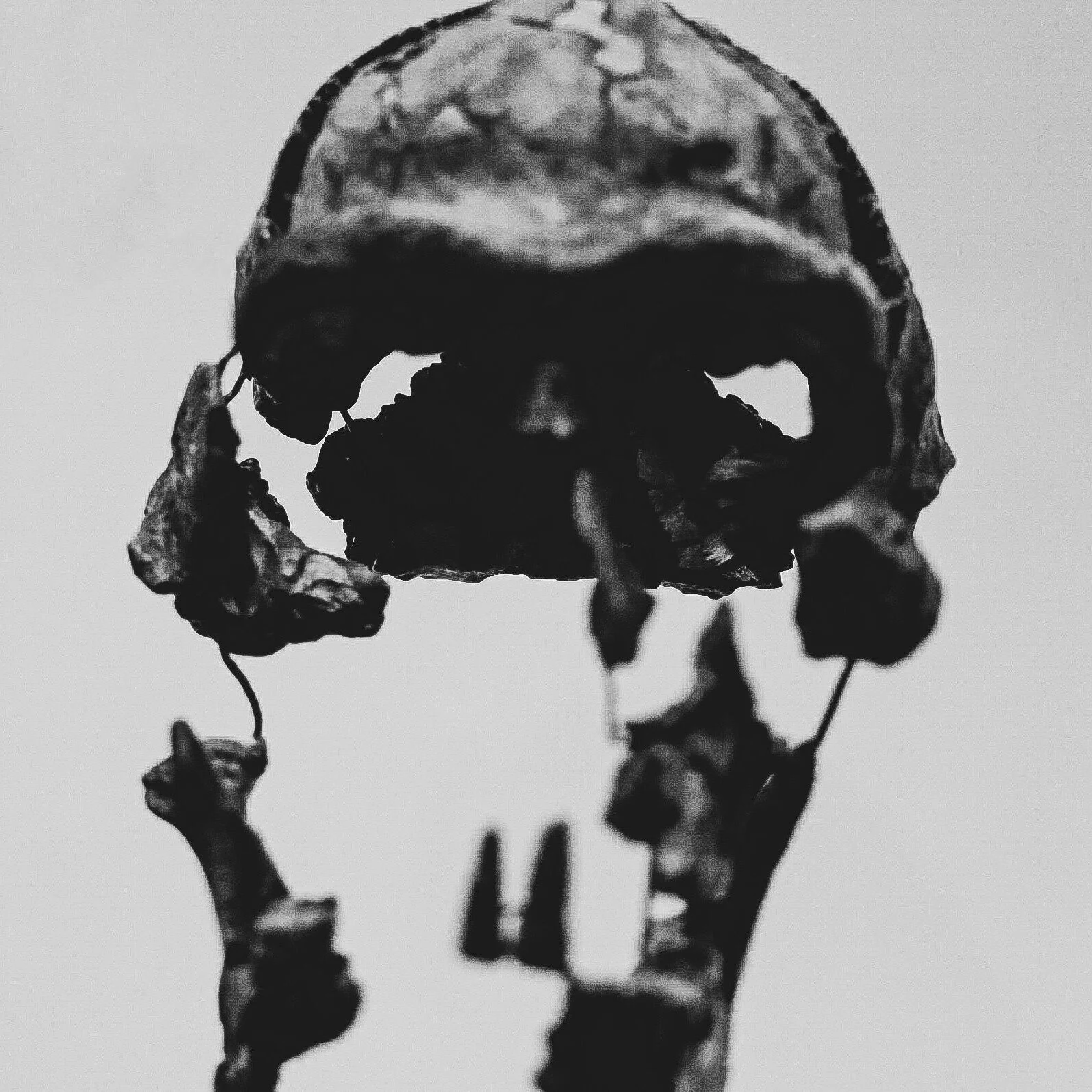 American Museum of Natural History, Manhattan, New York