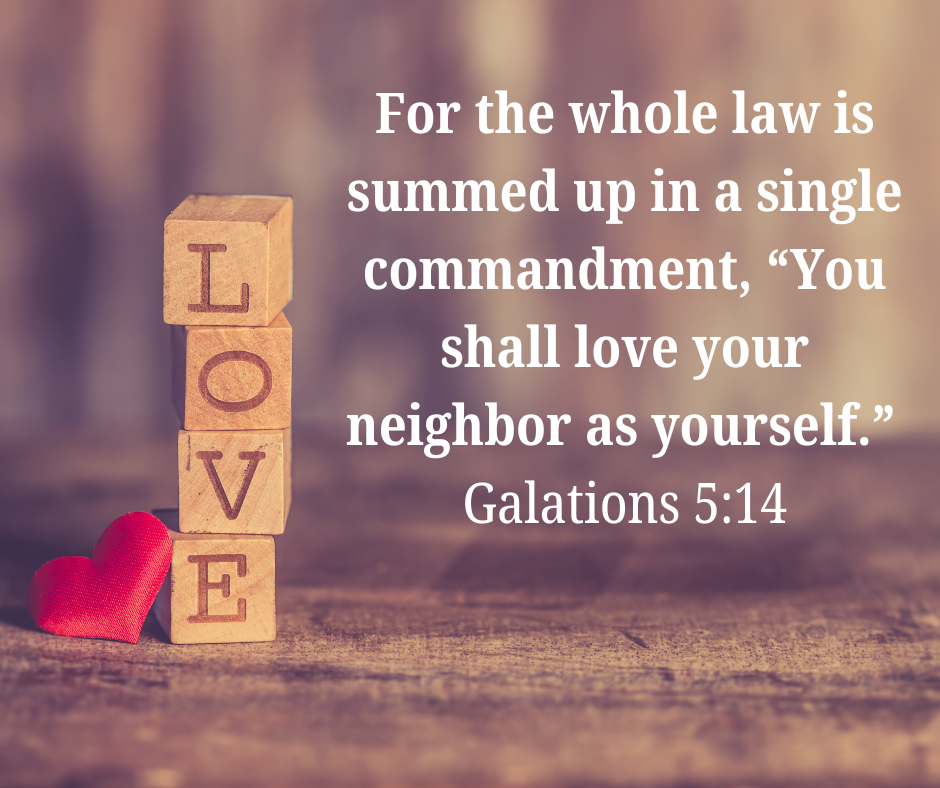 This Sunday’s Worship: June 29, 2025