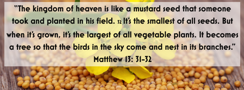 Sunday’s Worship: July 26th, 10:00 AM