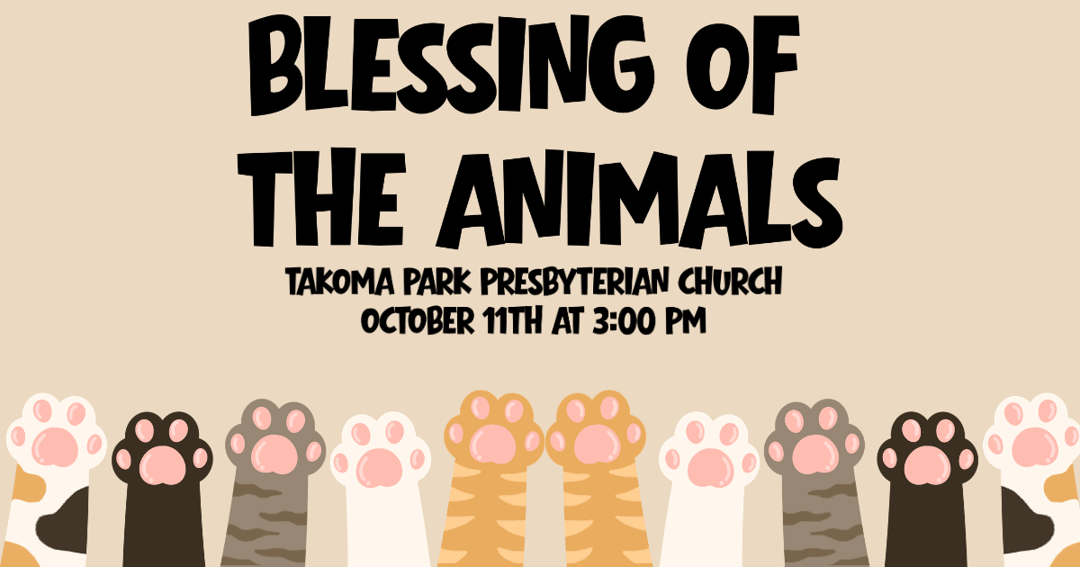 Blessing of the Animals