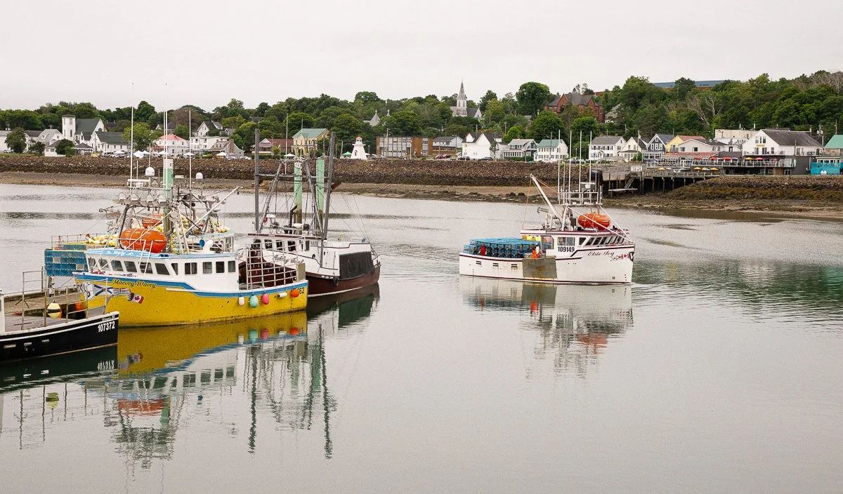 Digby-10.jpg