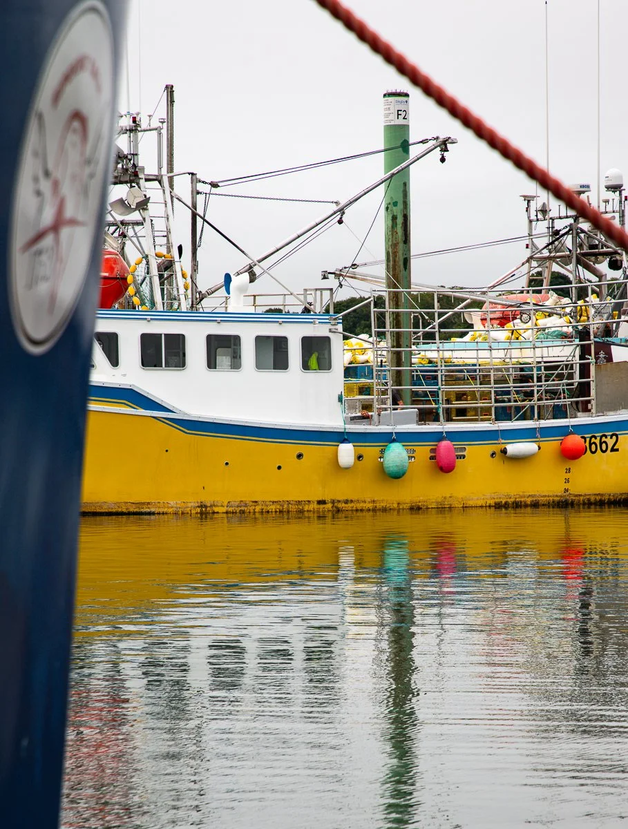 Digby-13.jpg