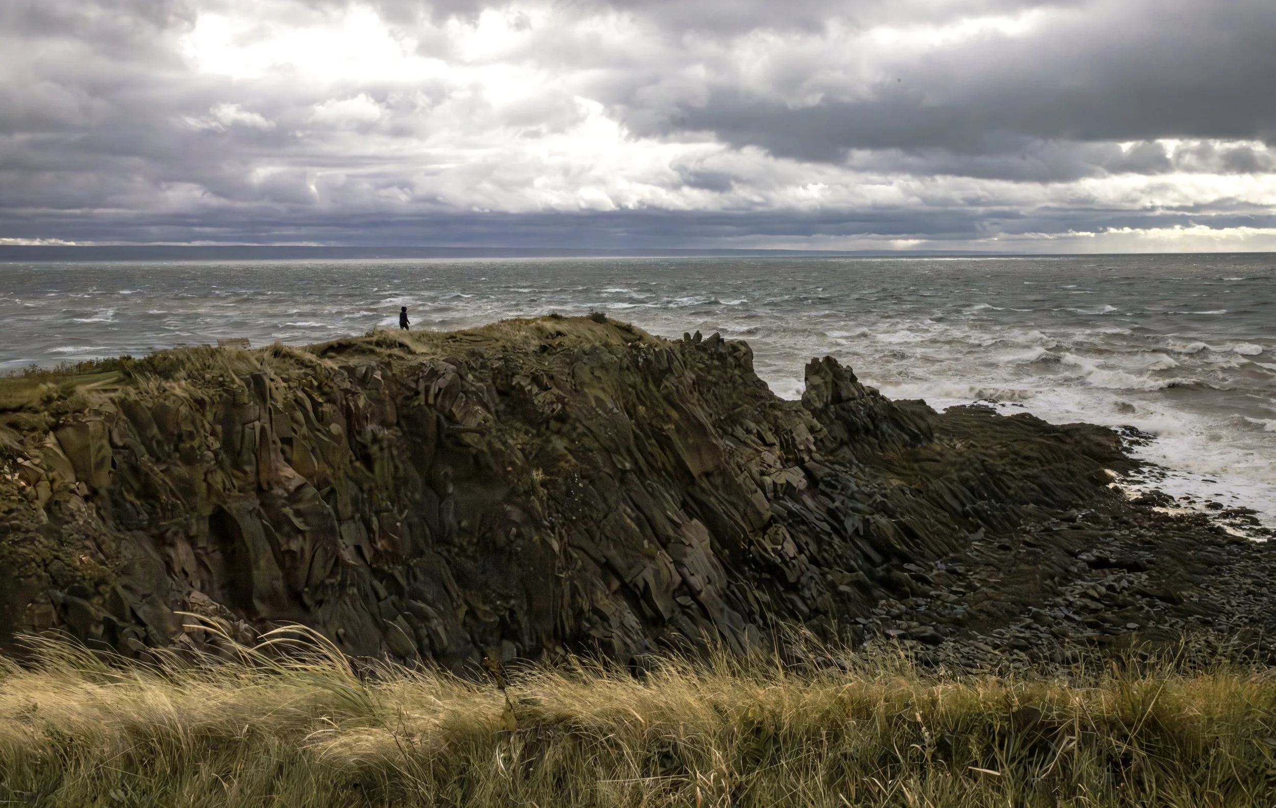 _MG_9935-Enhanced-NR-Edit copy.jpg