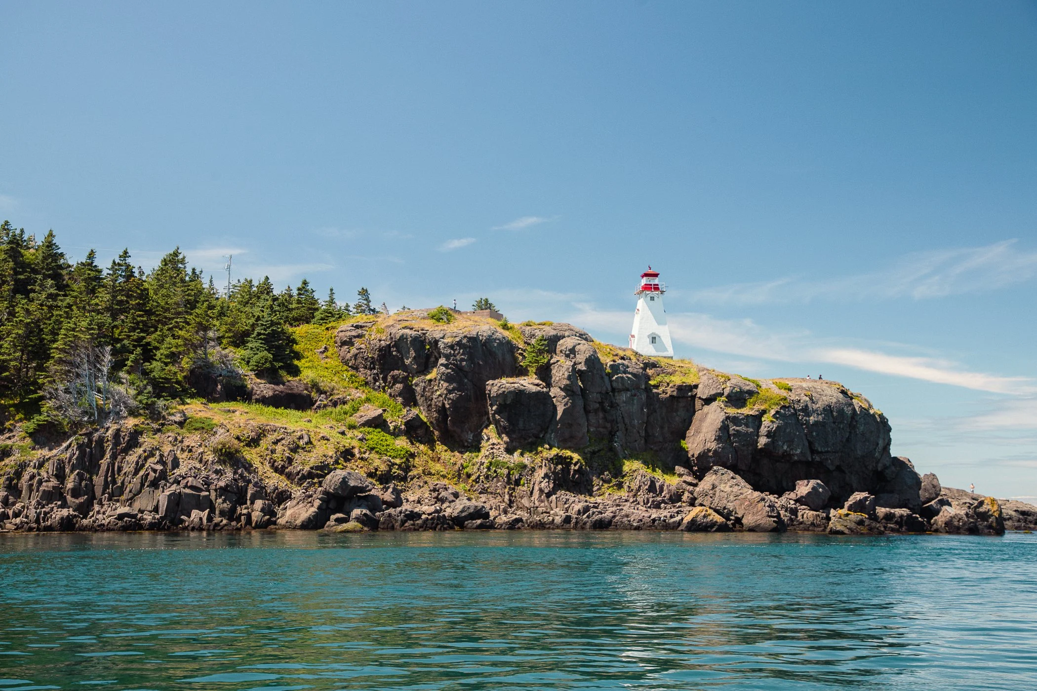 AdventureBay Whale Watching Digby Nova Scotia-15.jpg