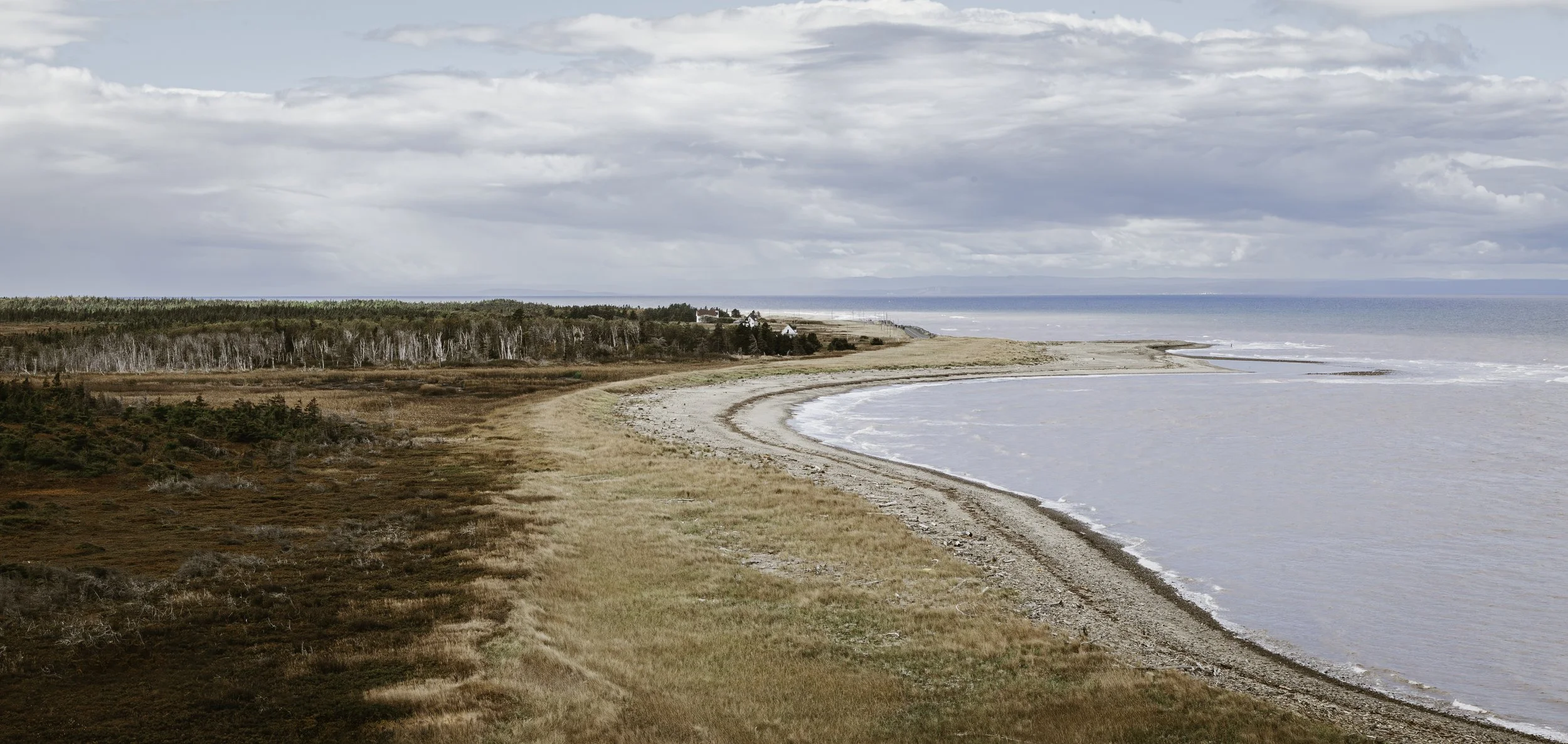 _MG_0167-Enhanced-NR-Edit copy.jpg