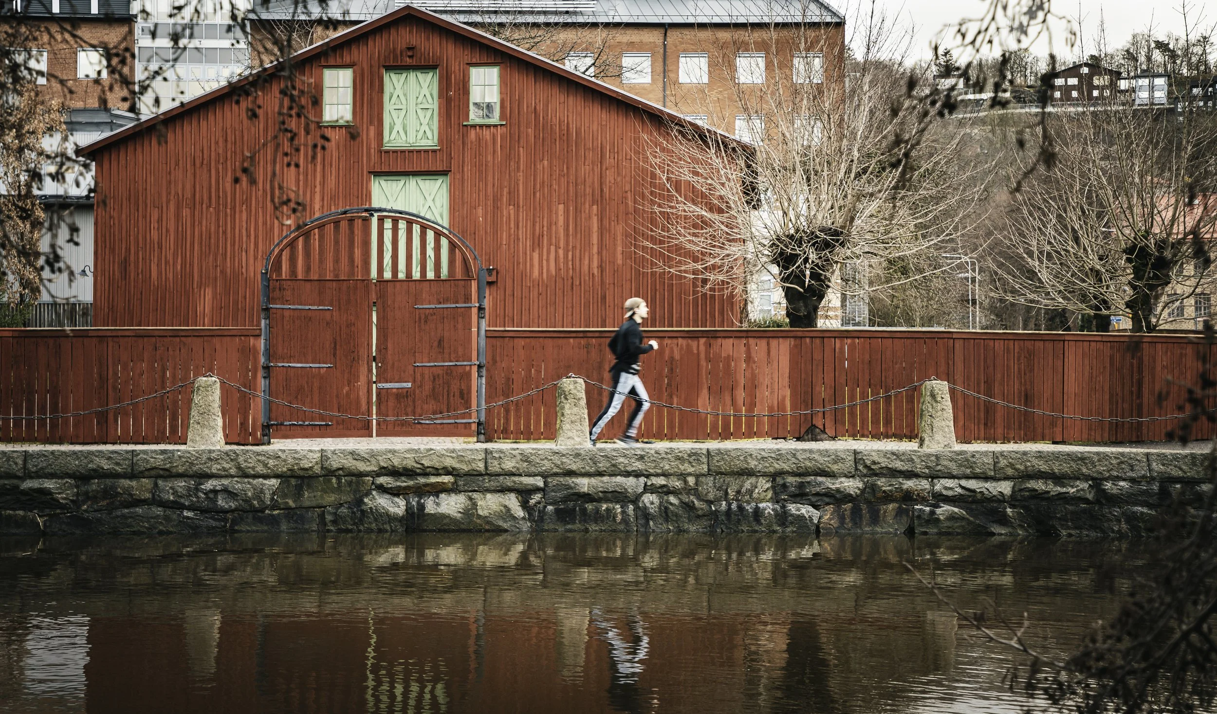 _MG_0531-Edit copy.jpg