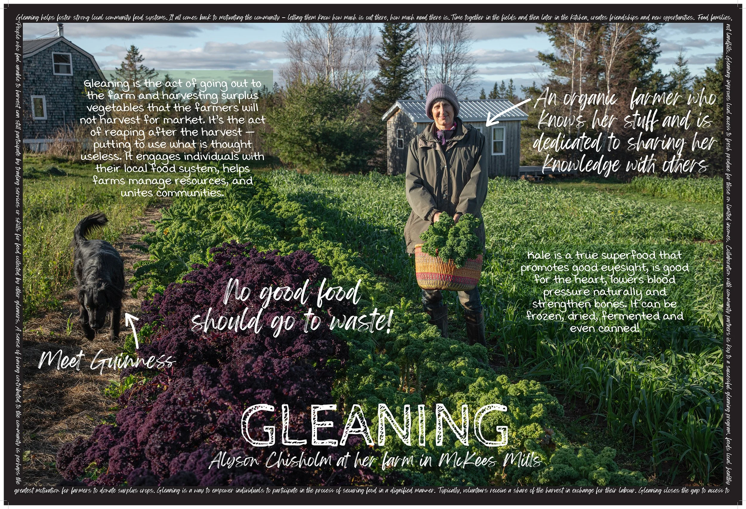 Lex-Alyson-27x40-Ang copy.jpg