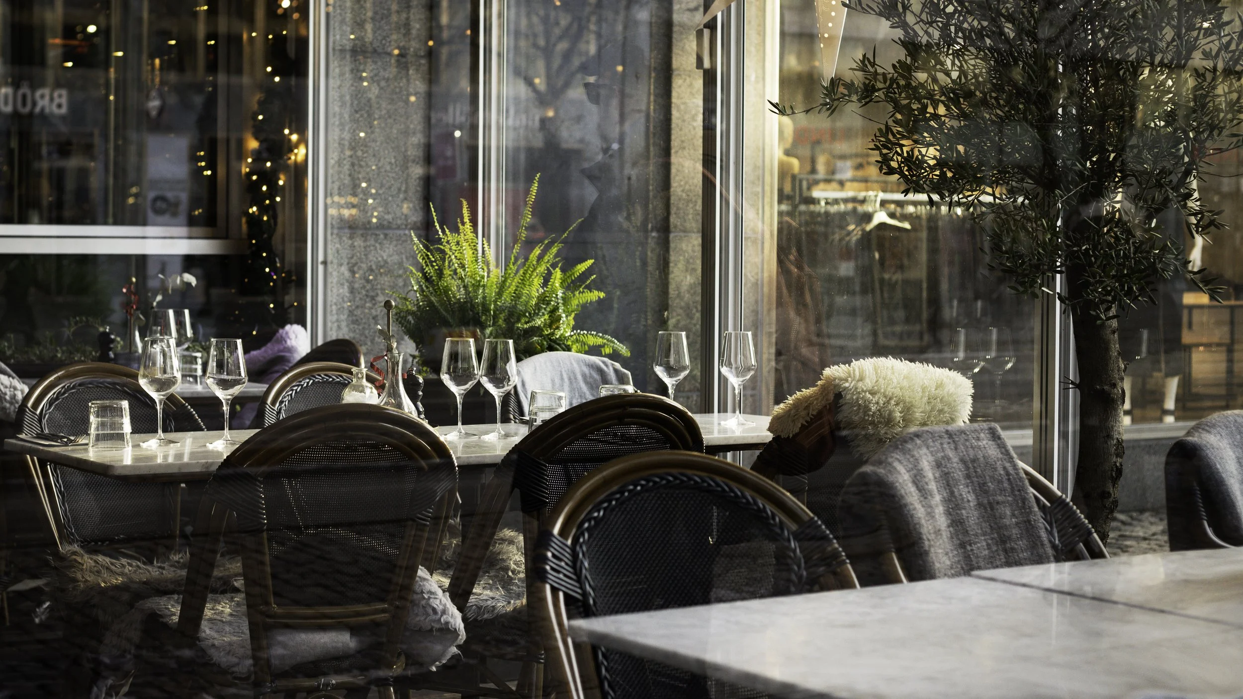 _MG_1154-Edit copy.jpg