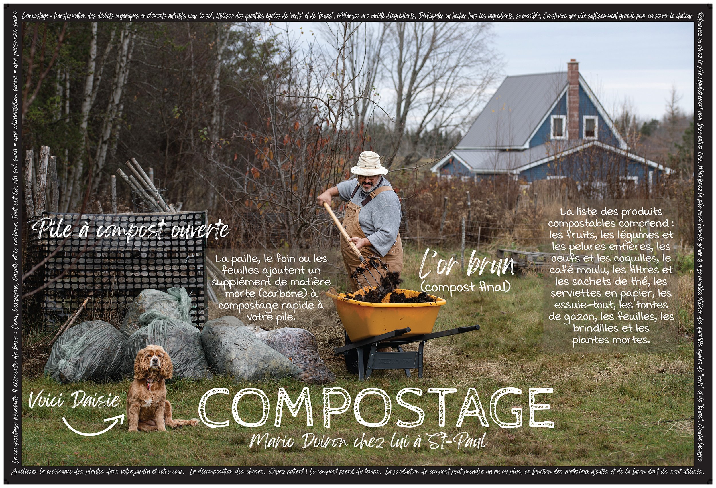 Lex-Mario-27x40-Fra copy.jpg