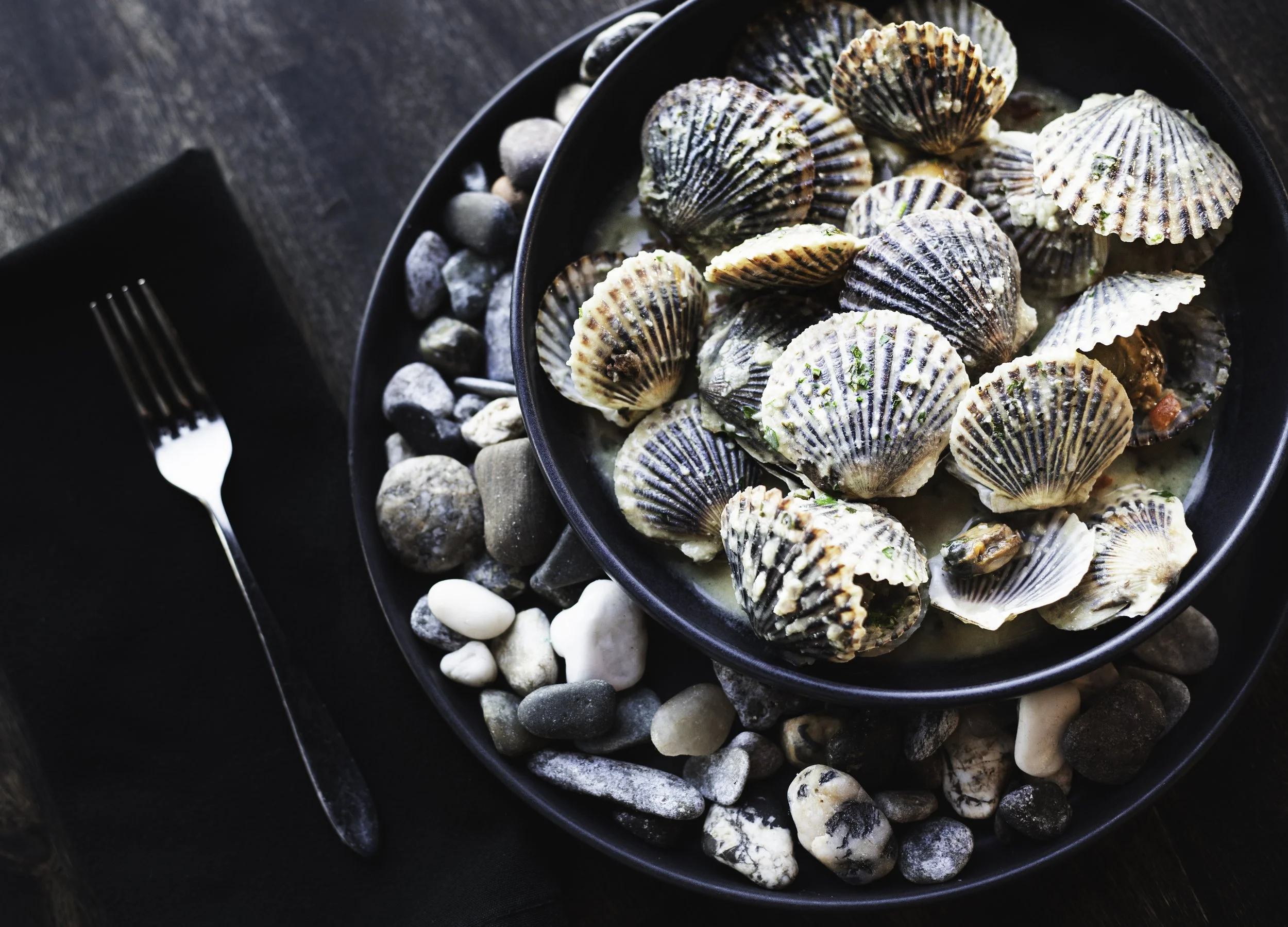 _MG_0419-Edit copy.jpg