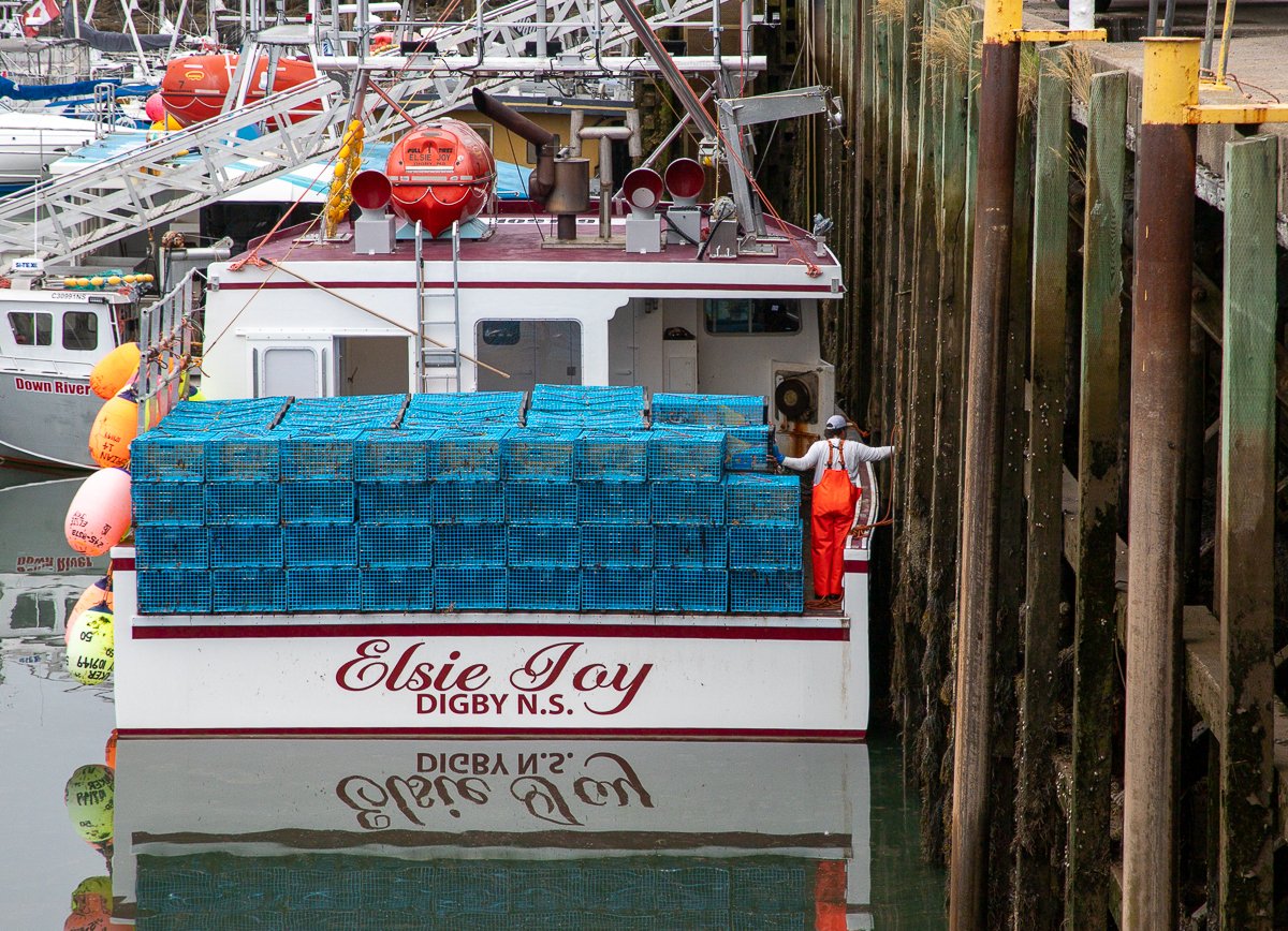 Digby-4.jpg
