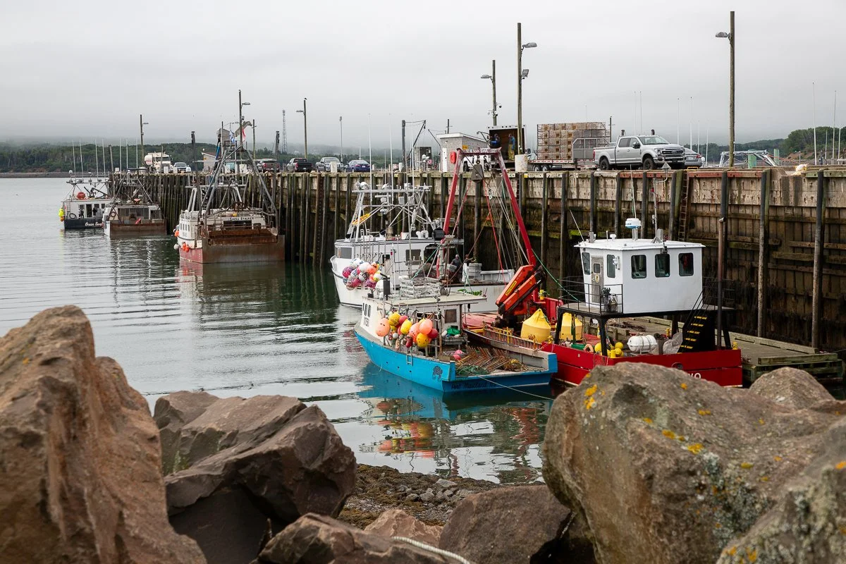 Digby-15.jpg