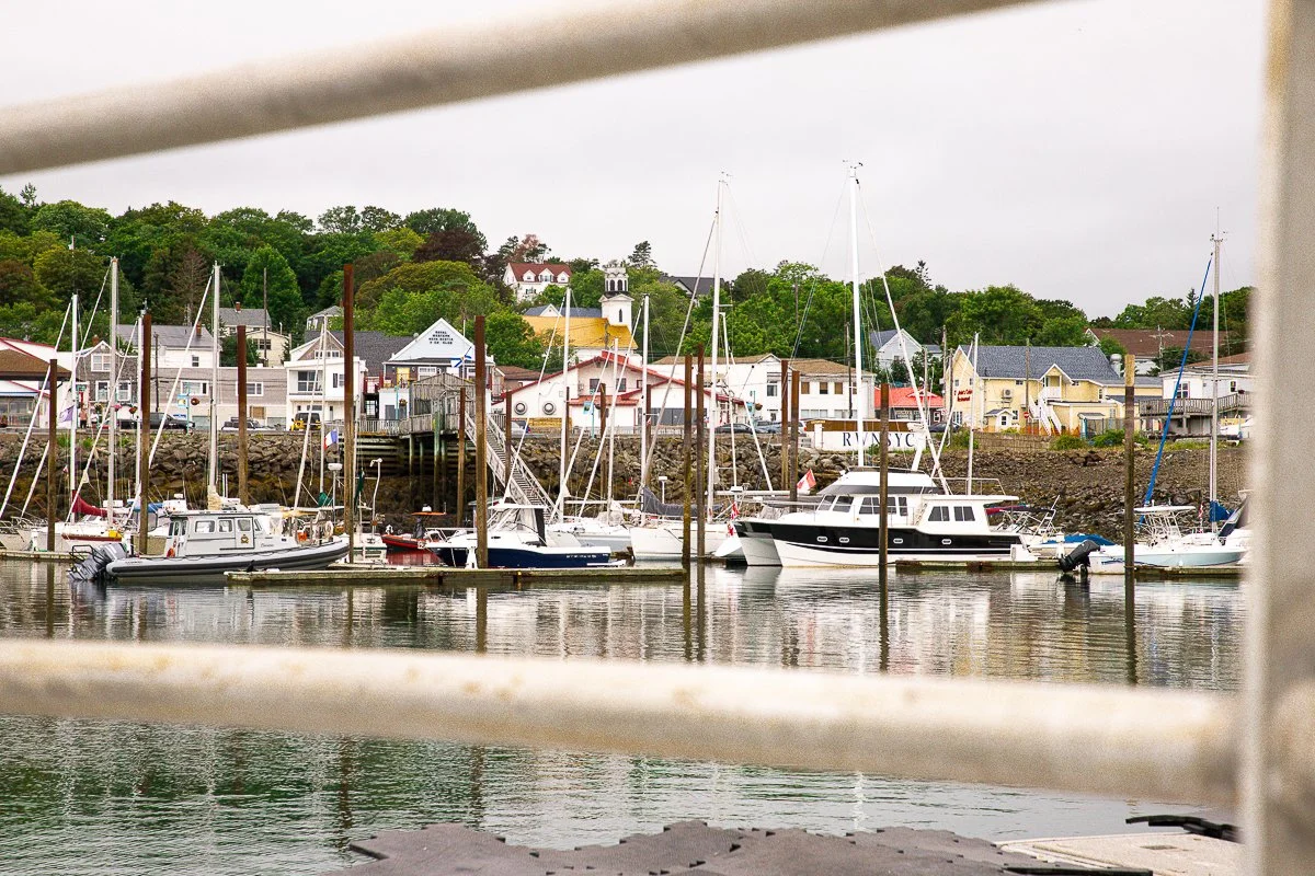 Digby-6.jpg