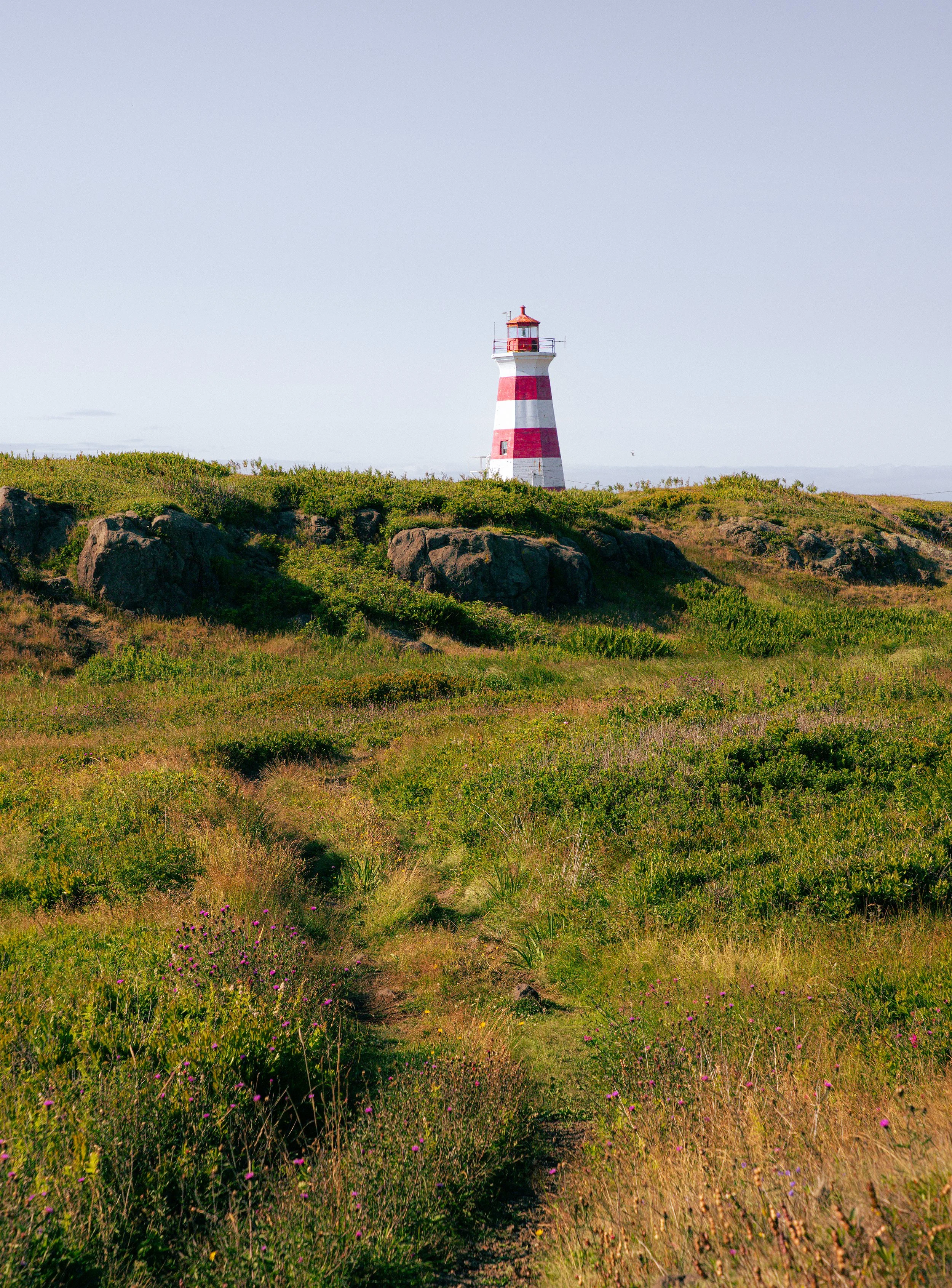 _MG_5476.jpg