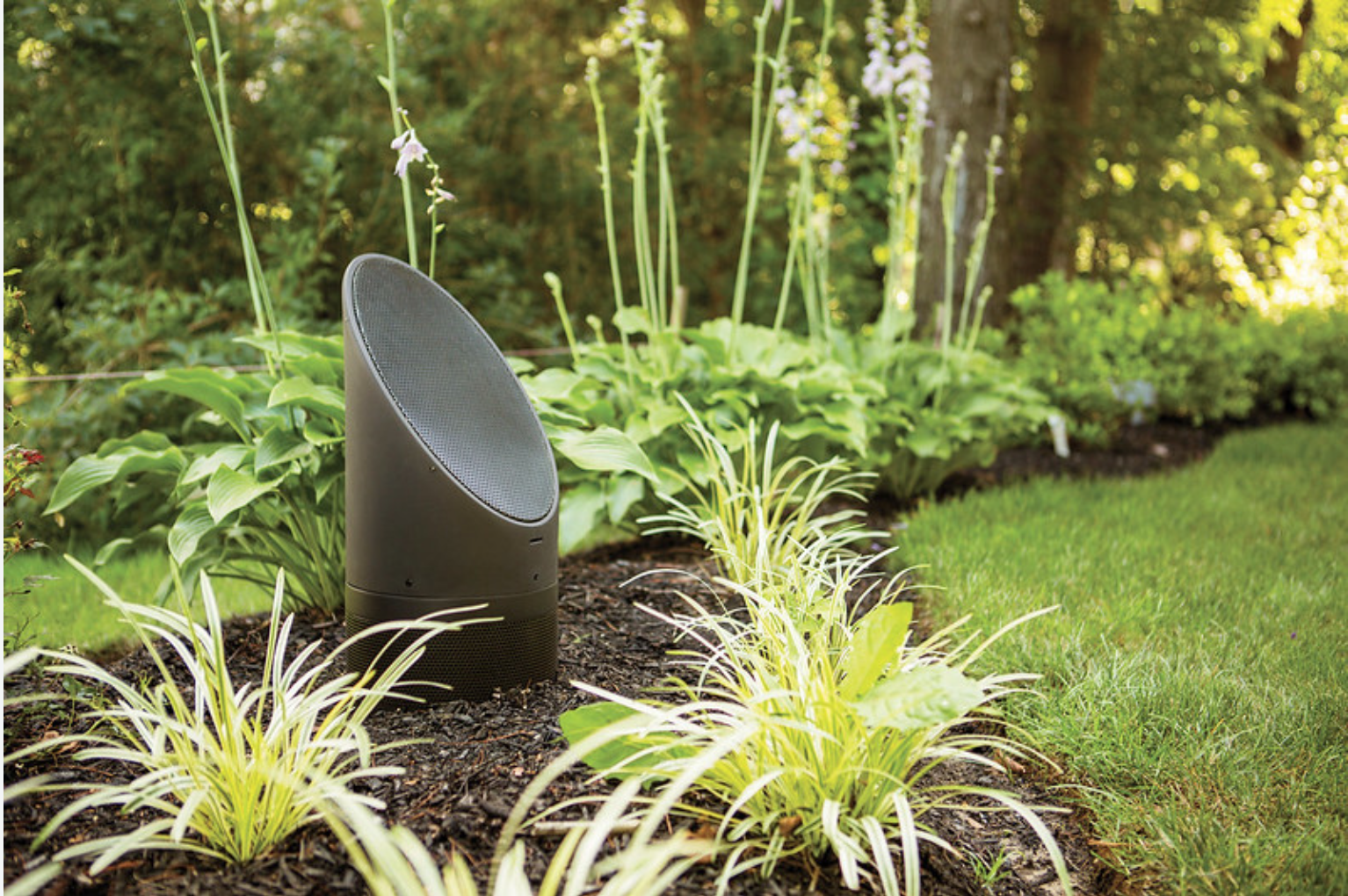 Create Your Outdoor Oasis!