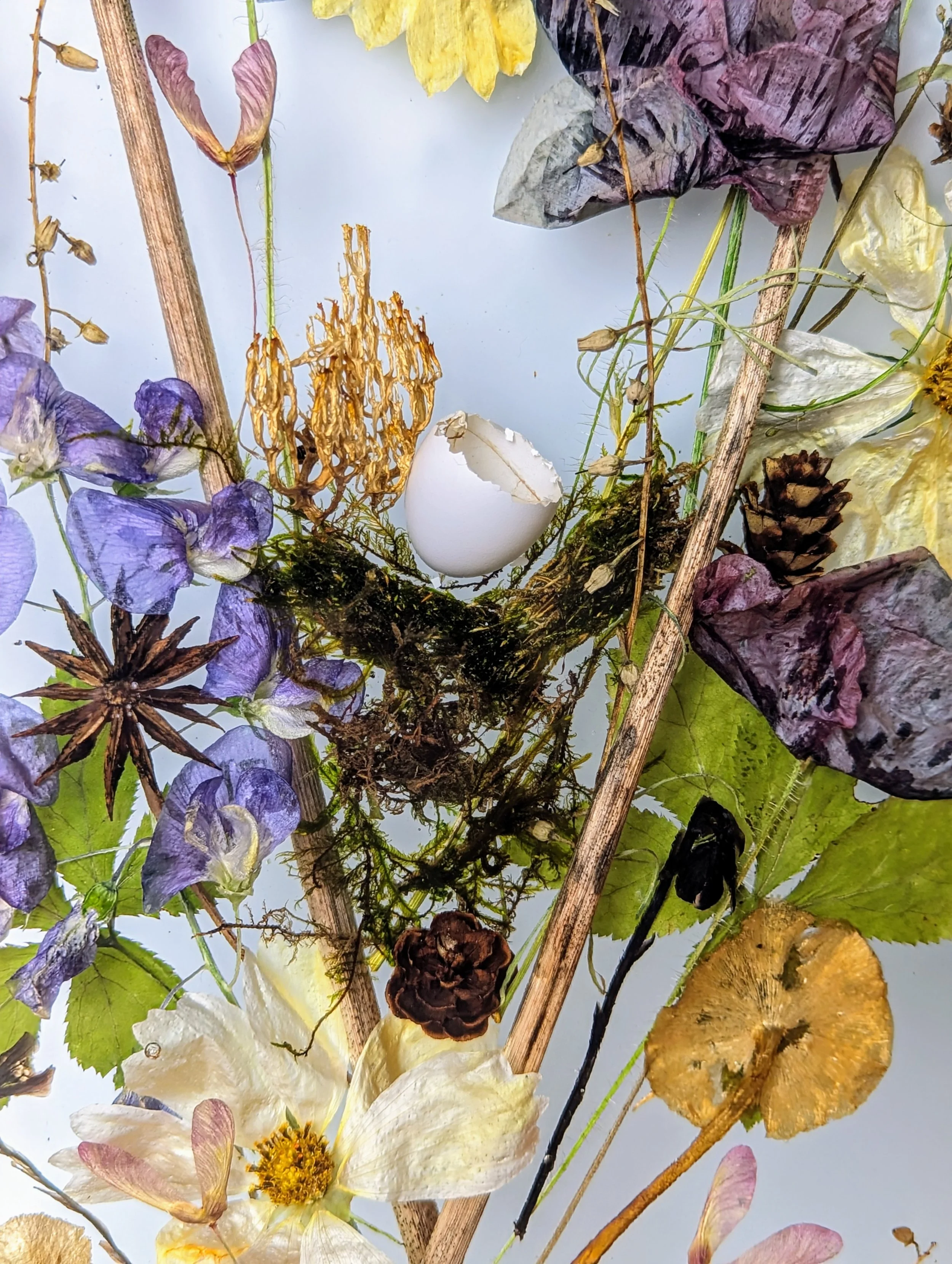 【 A-makkoページ 】 Gallery | View Inspiring Creations - Discover More — Made by Makko