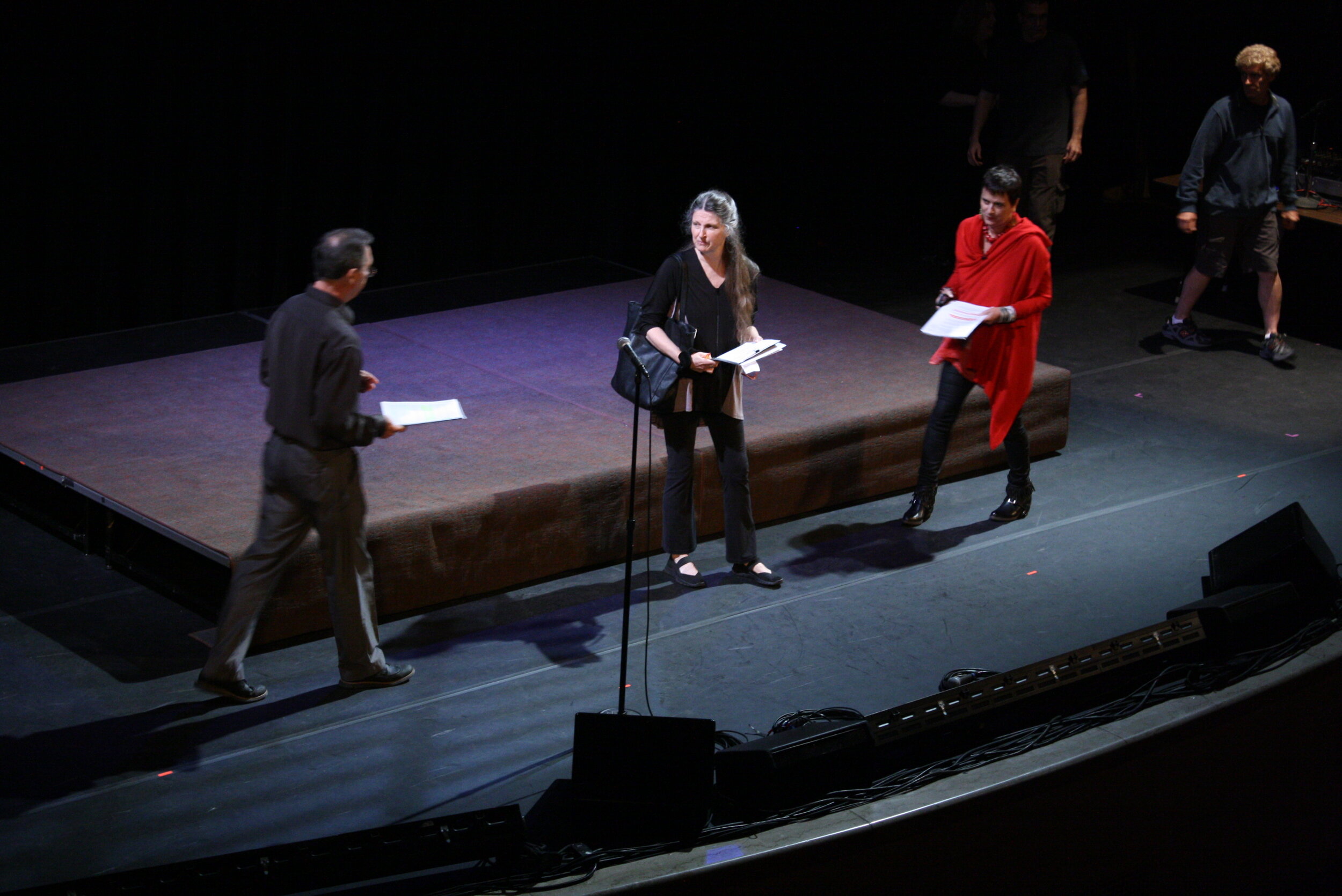 Sheryl directing&nbsp;Celebrate The Children of Resistance&nbsp;for Rosenberg Fund for Children-&nbsp; including Angela Davis, Eve Ensler, Cotter Smith &amp; others