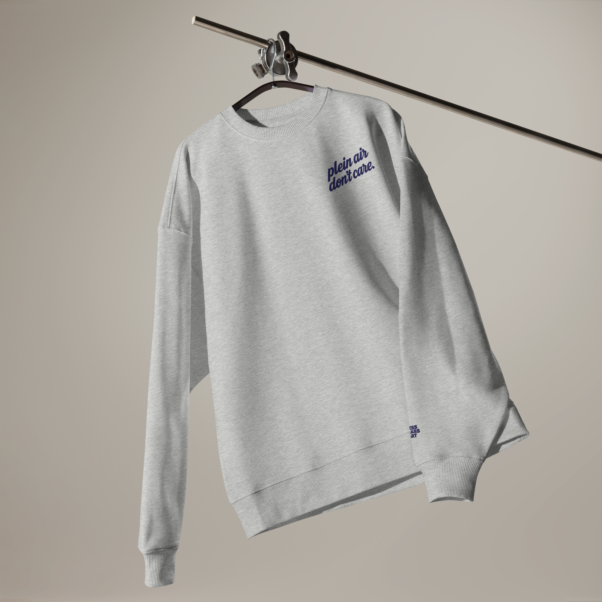 Plein Air Don’t Care — Oversized Organic Sweatshirt
