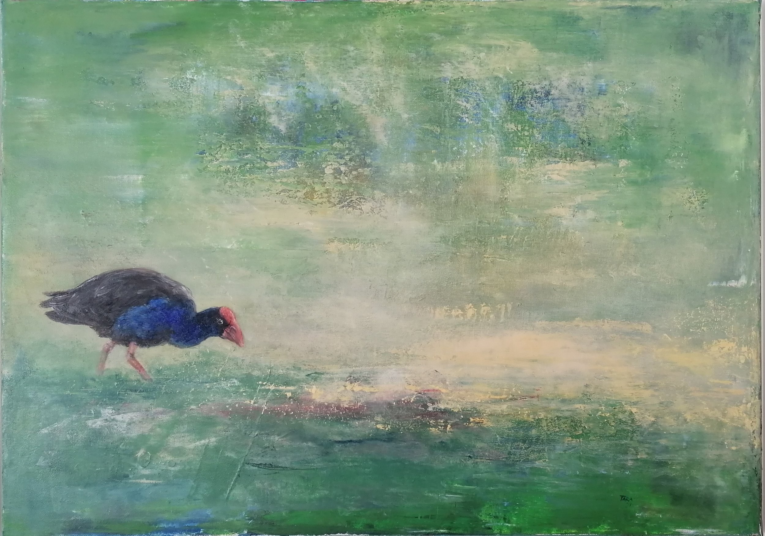 Pukeko-links.jpg