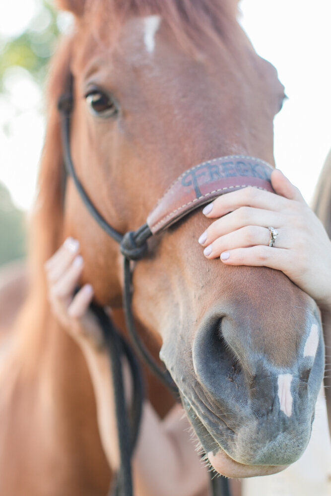 Engagement Session with Horses Romantic Engagement Session with Horses-21.jpg