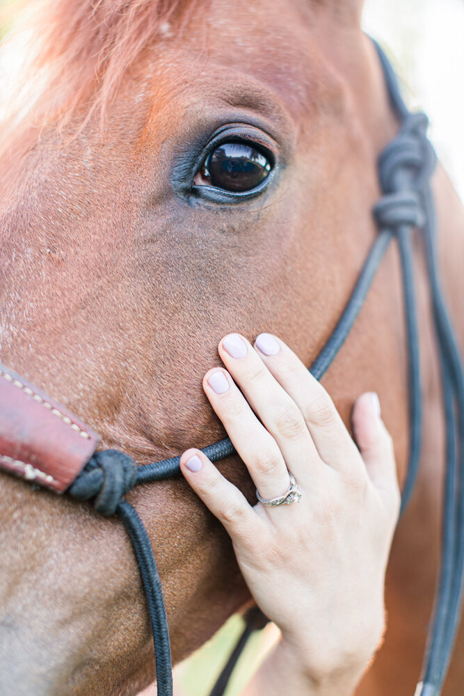 Engagement Session with Horses Romantic Engagement Session with Horses-22.jpg