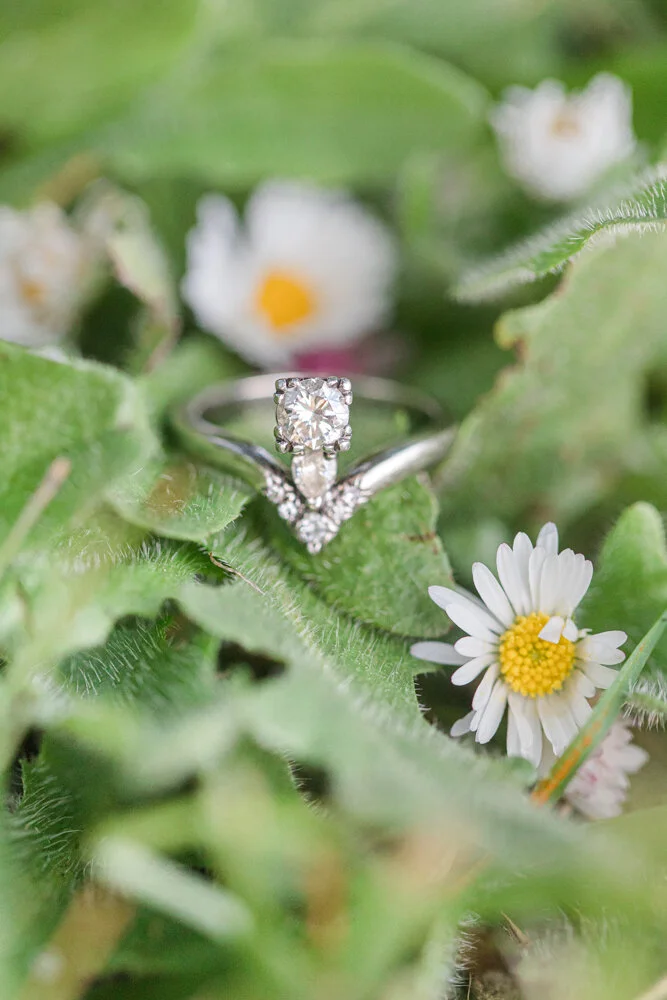 Sauvie Island Engagement-32.jpg