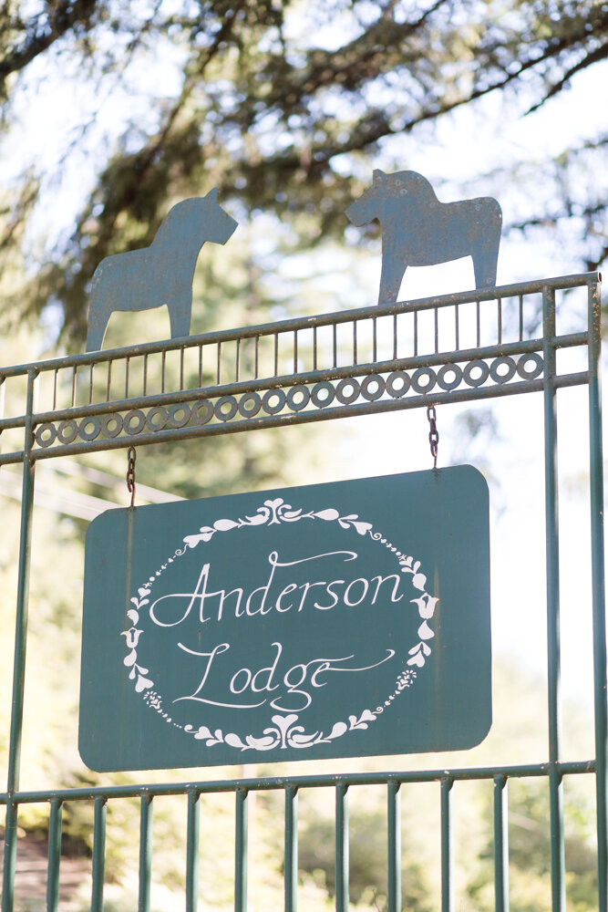Anderson Lodge Enchanted Forrest Wedding-1.jpg