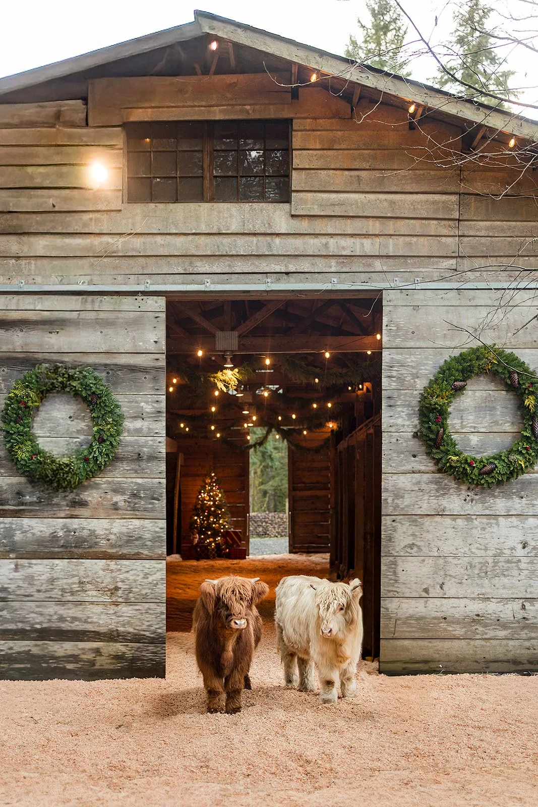 Highland Farms: A Retreat at the Base of Mt. Hood