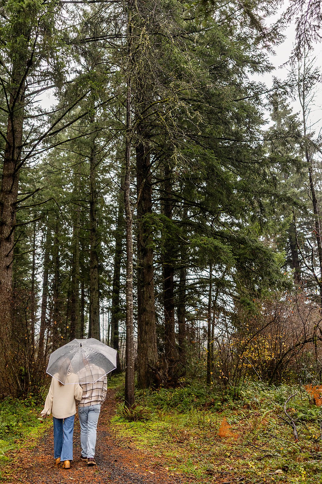 ChateaudeLisEngagementSessionPhotography (6).jpg