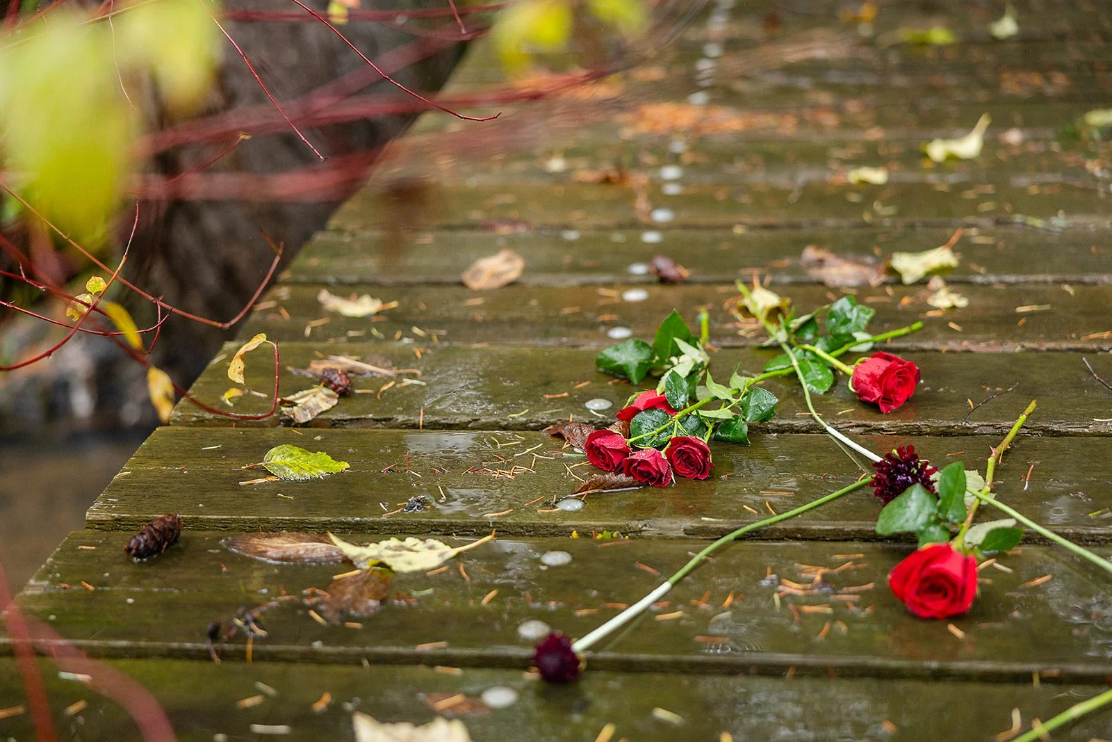 ChateaudeLisEngagementSessionPhotography (13).jpg