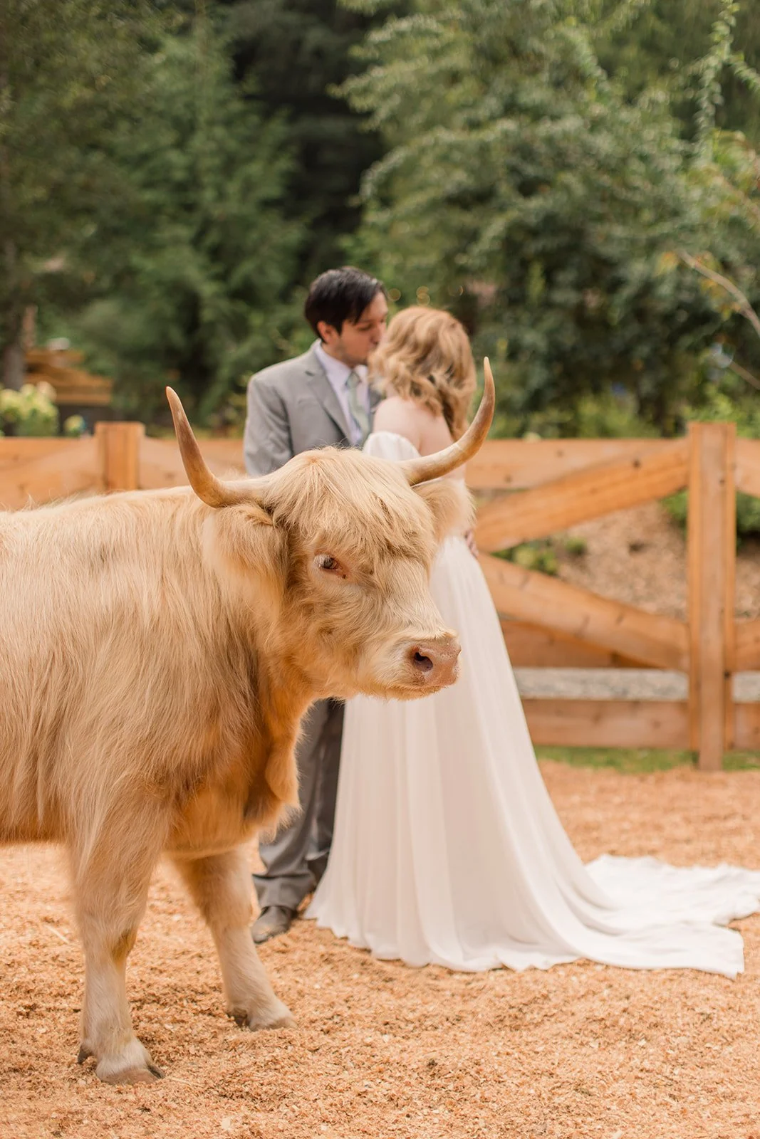 HighlandFarmsWeddingDayPhotography (26).jpg