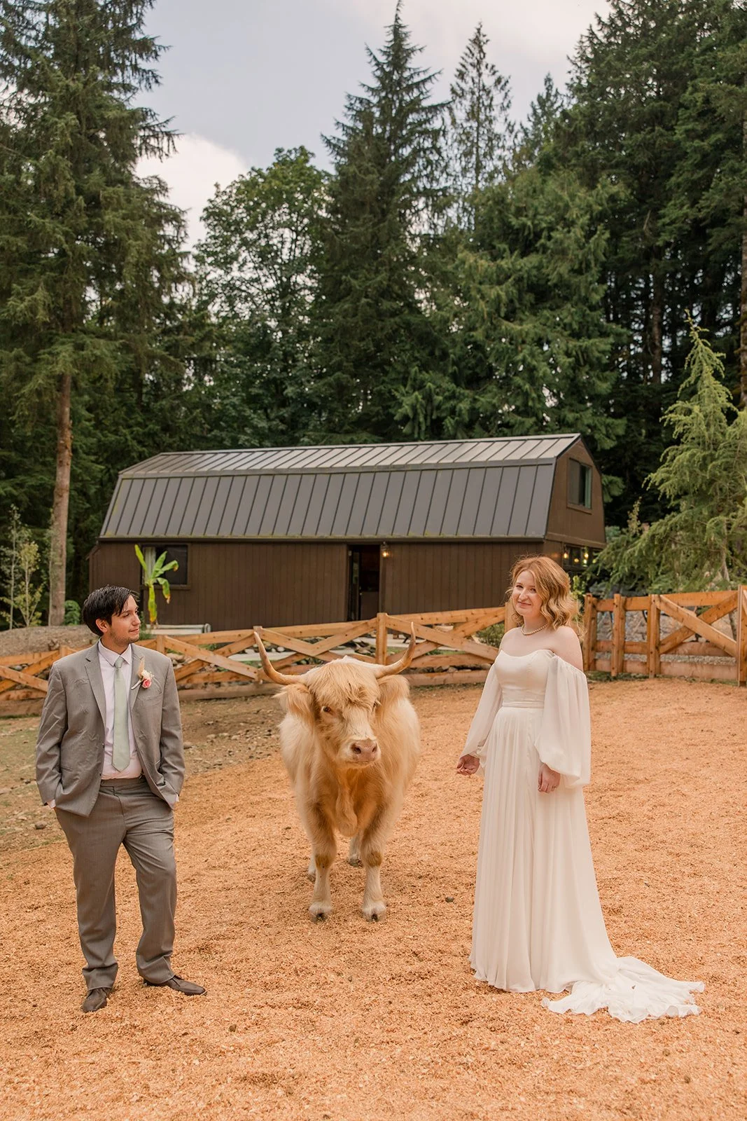 HighlandFarmsWeddingDayPhotography (27).jpg