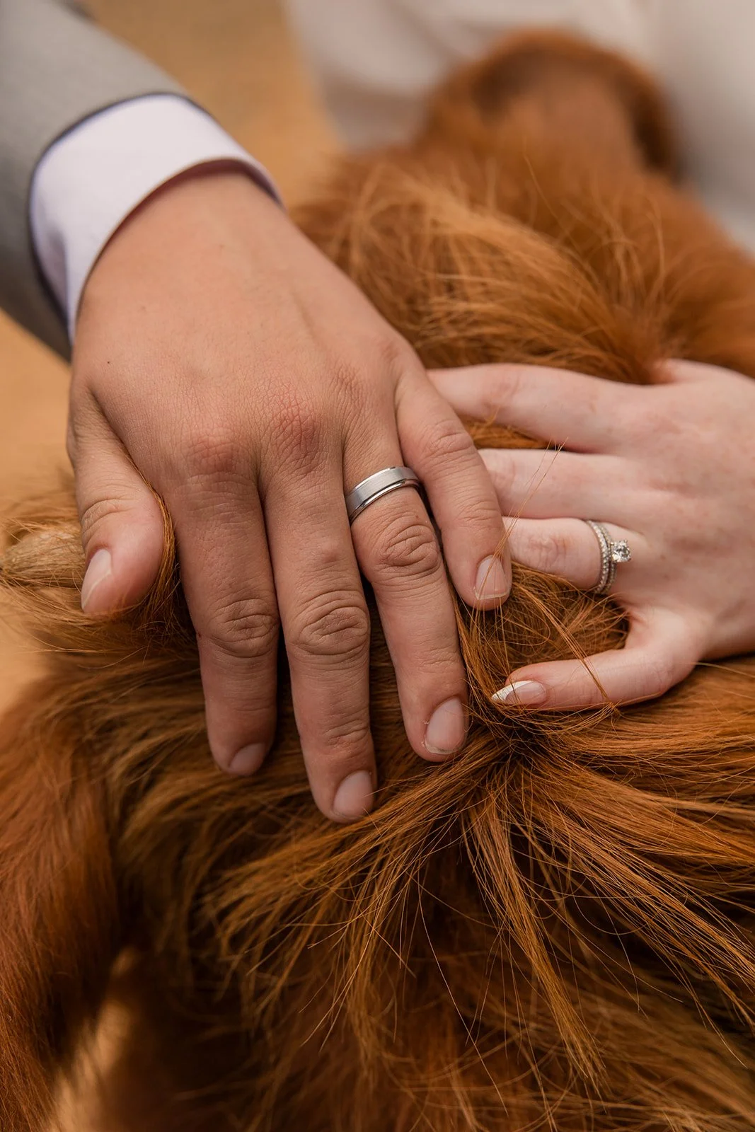 HighlandFarmsWeddingDayPhotography (28).jpg