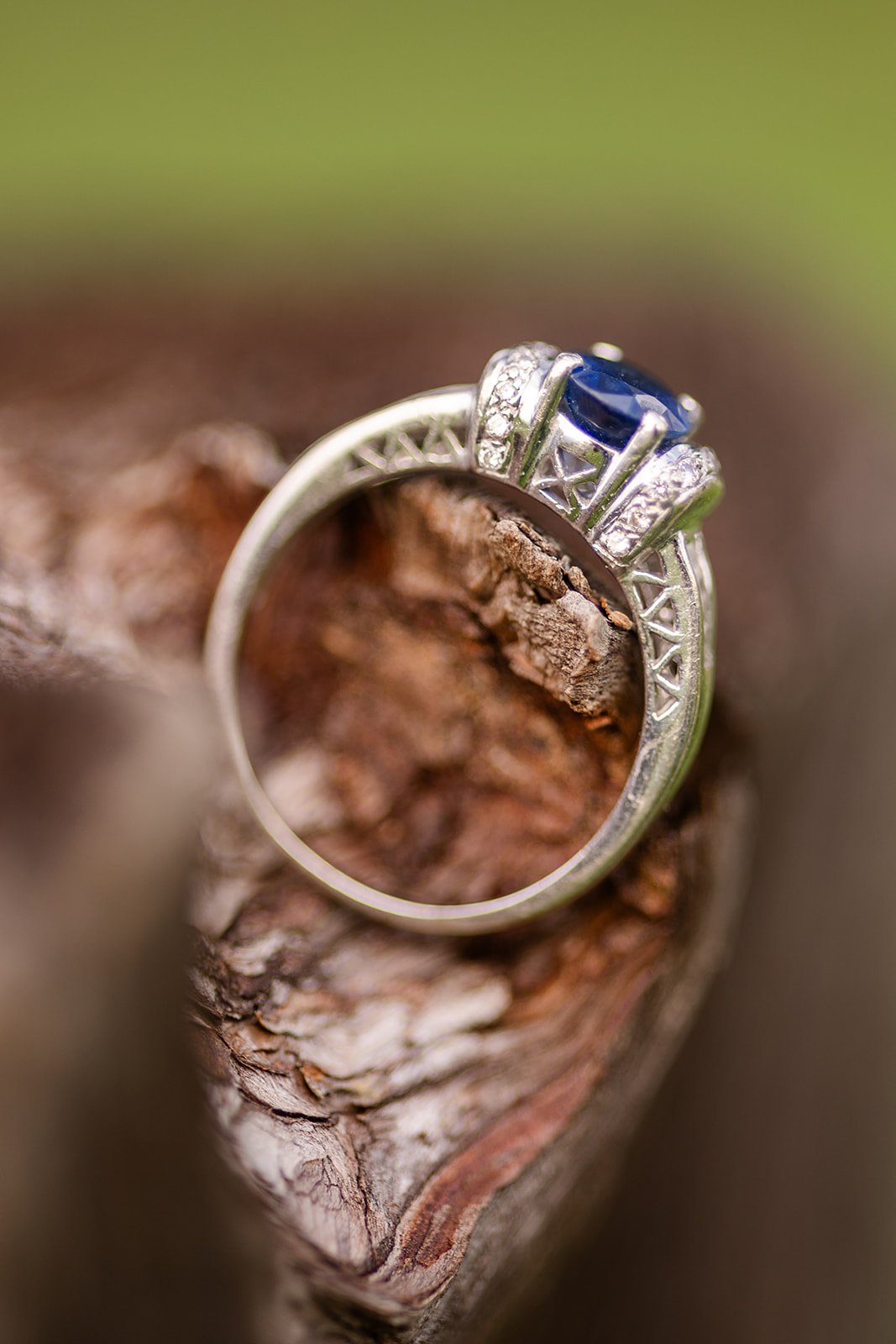 HowellTerritorialParkEngagementSession (10).jpg