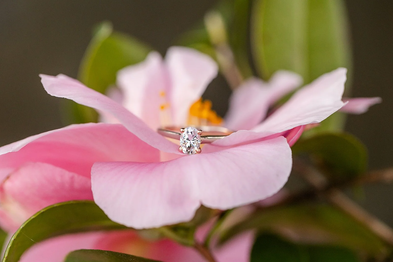 PittockMansionEngagementSession (10).jpg