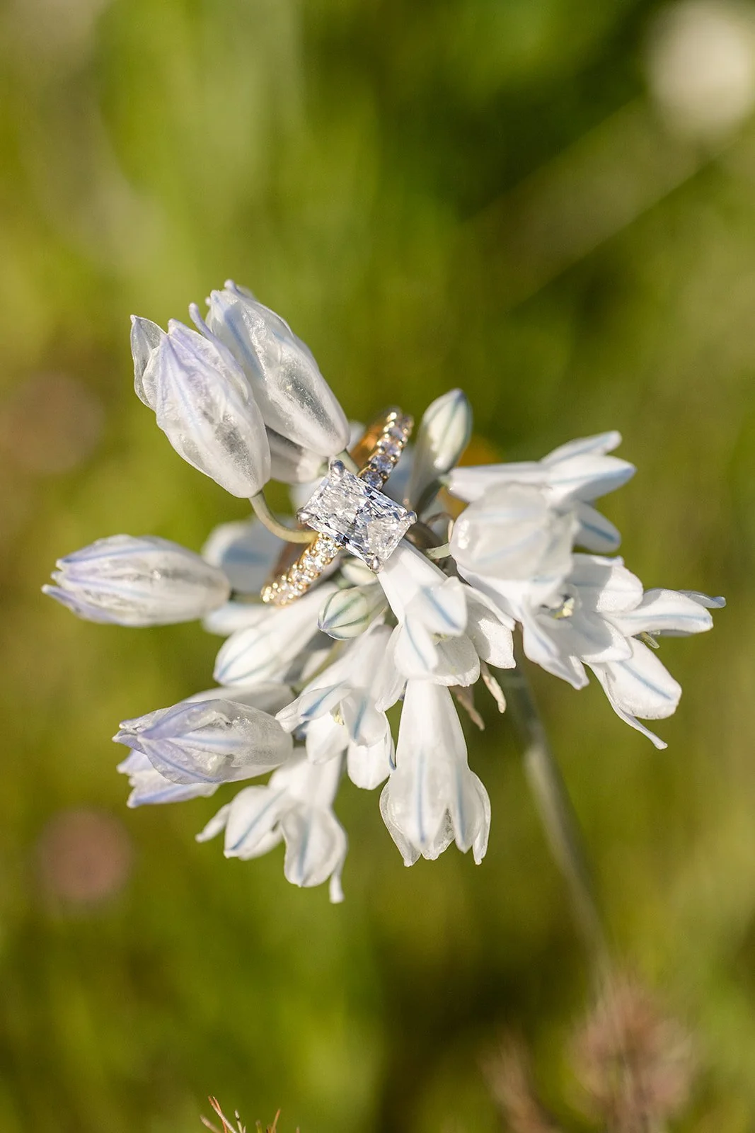 BrookeandJackEngagementSession-108_websize.jpg