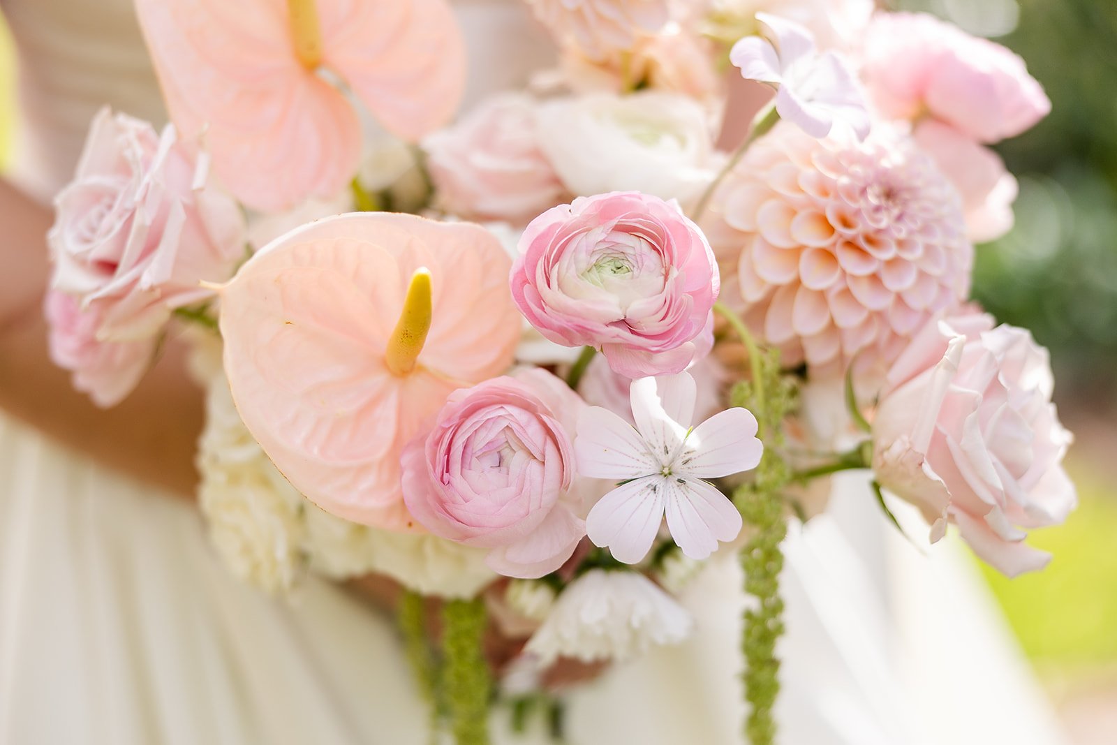 TheBarnatOakwoodGardensEstateWeddingDay (4).jpg