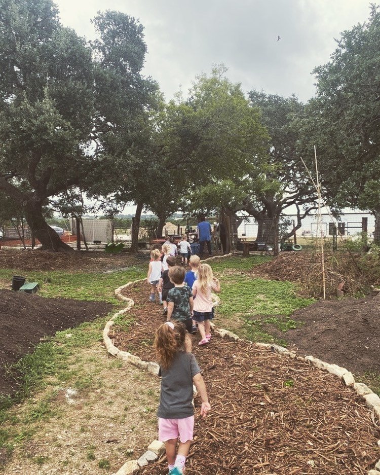  Havenwood students strolling through the gardens on their way back to class. Our gardens attract a wide variety of birds, butterflies, grasshoppers, and more, which the students can admire up close or from a distance. 