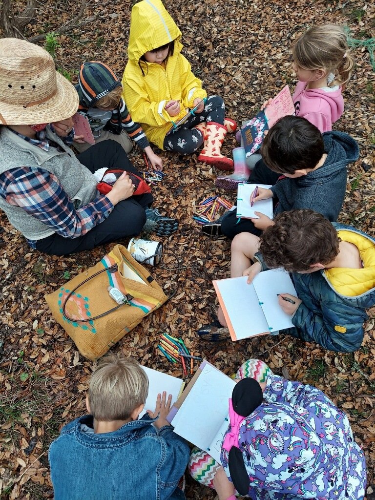  Havenwood students drawing different leaf shapes that they find while exploring the woods on campus. Drawing helps with hand dexterity and searching for unique leaves strengthens their visual attention. 