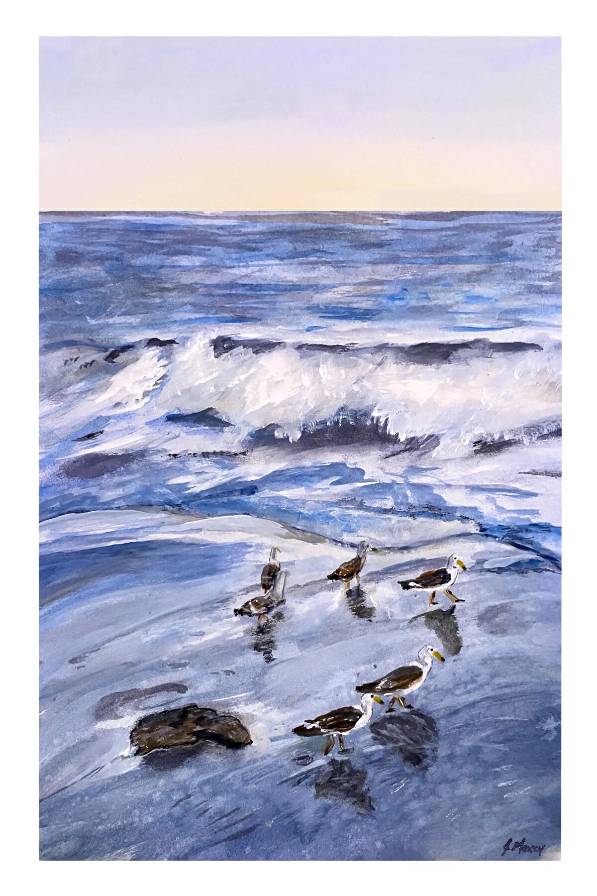 Seagulls