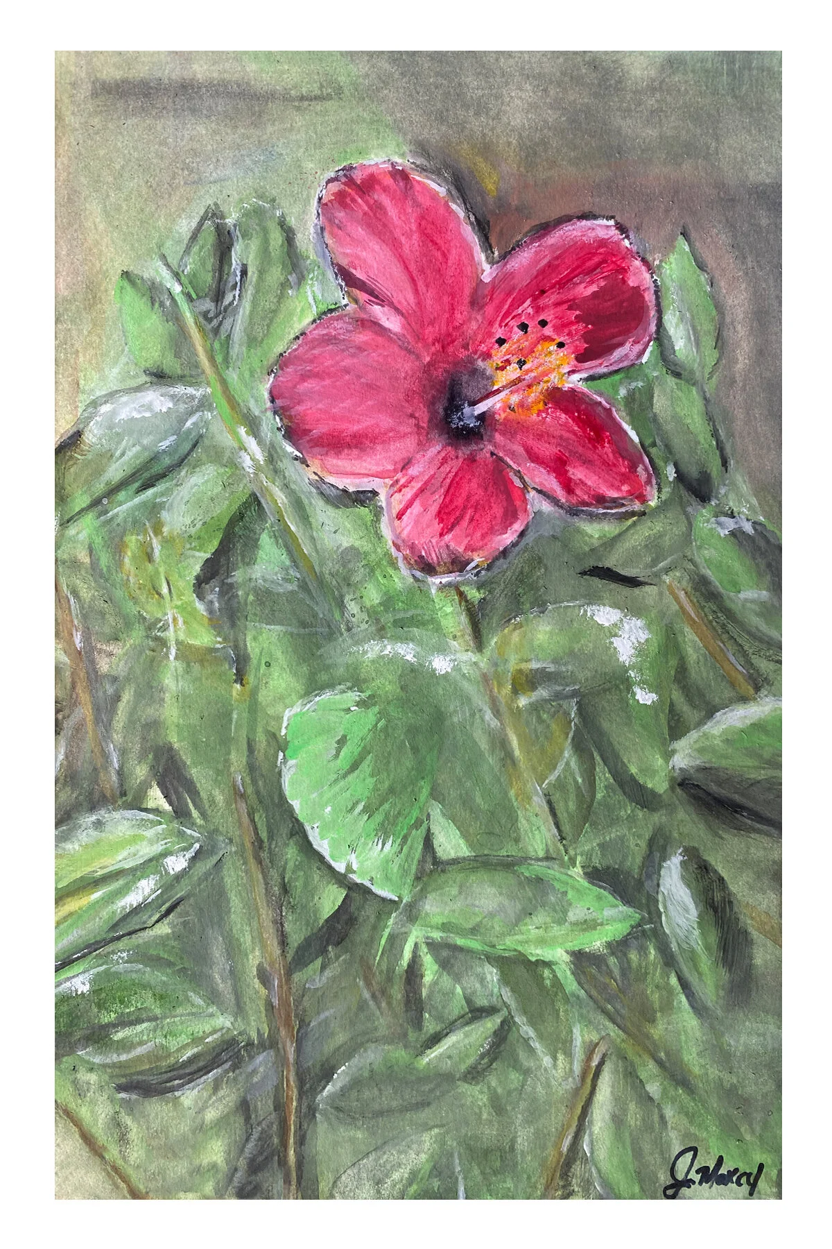 Jen-Maxcy_4x6_Greeting-Card_Hibiscus-2.jpg