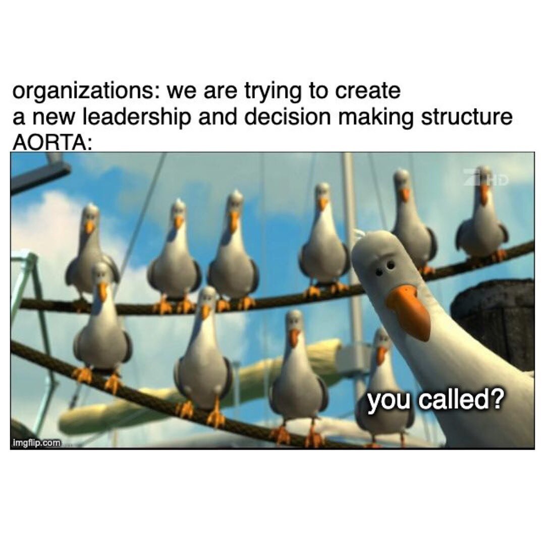 Organizations: &ldquo;We&rsquo;re trying to create a new leadership and decision making structure.&rdquo;
AORTA: &ldquo;You called?&rdquo;

Some of our favorite work to do with organizations is to bring to life new governance structures! Whether you&