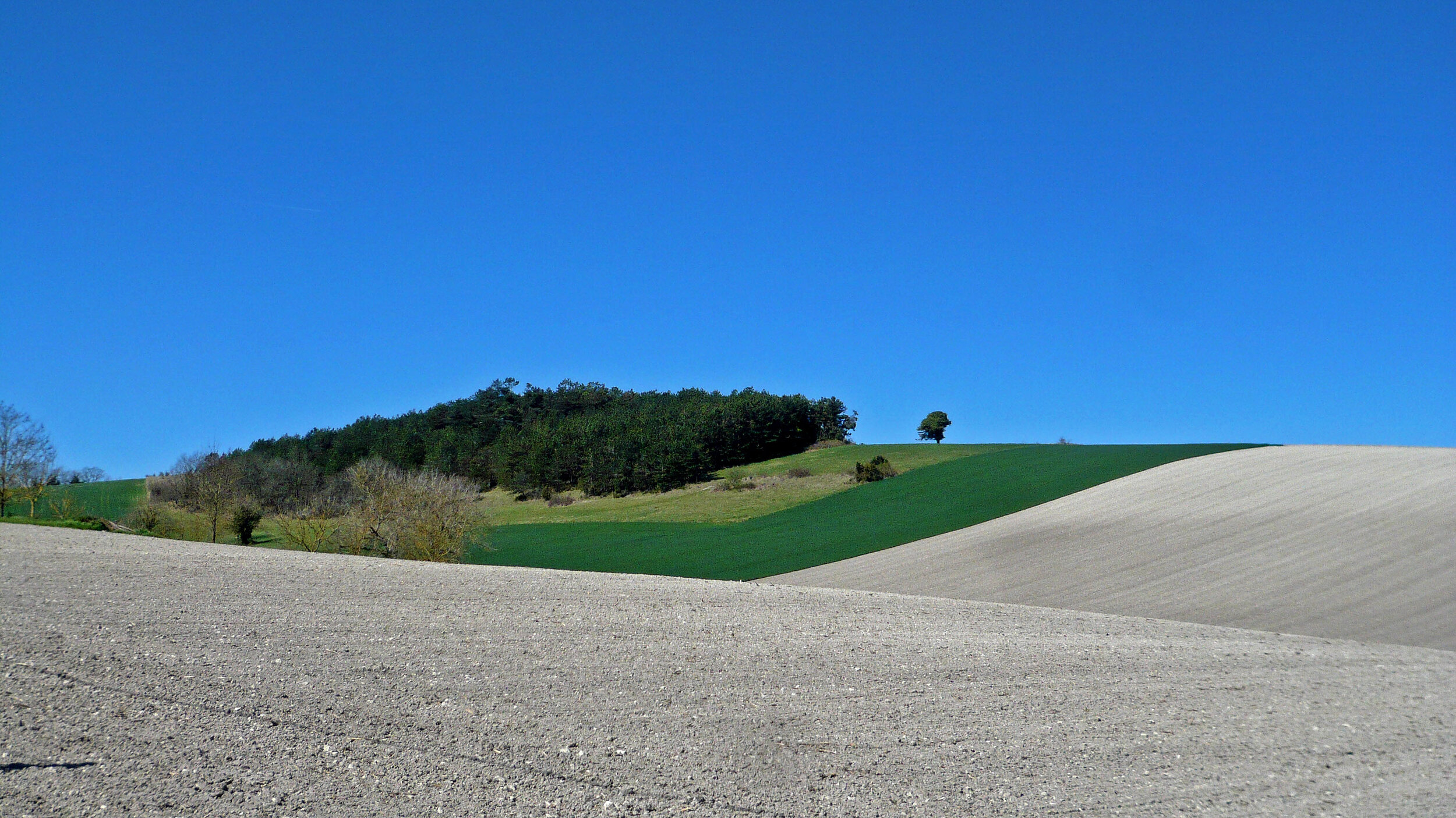 Farmland near Vendoire, Dordogne, France
