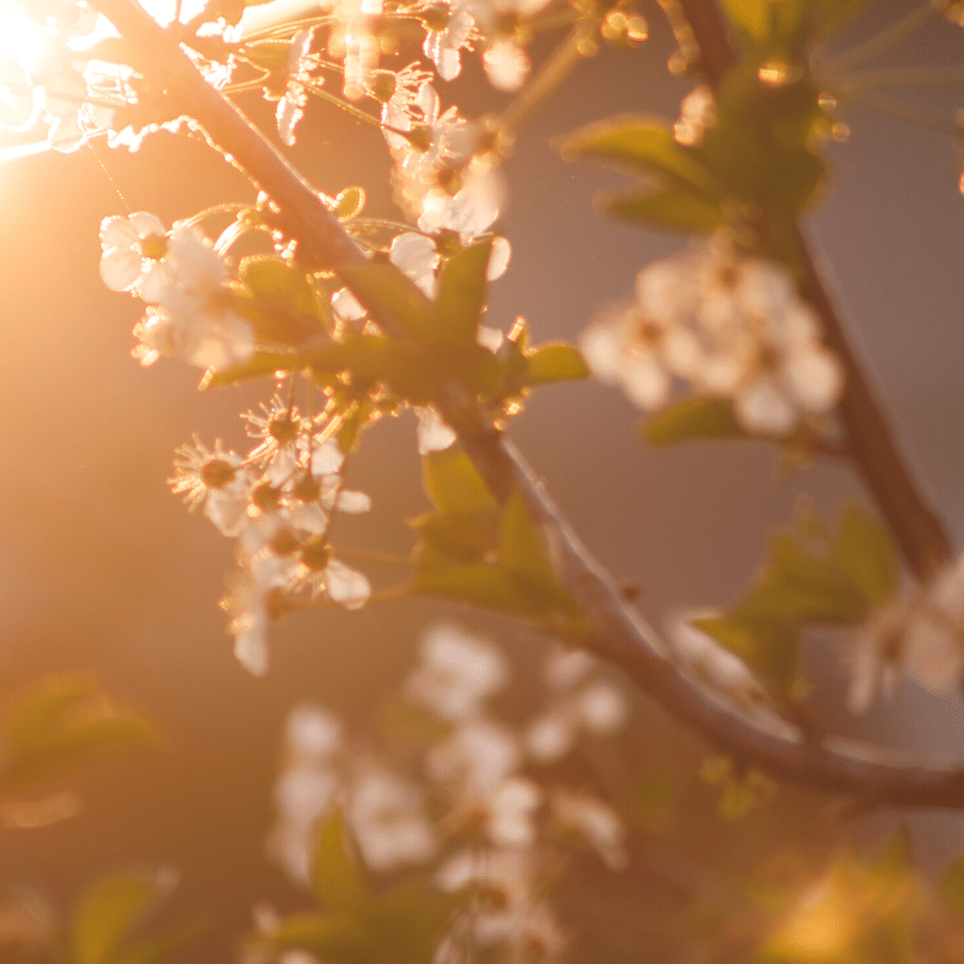 Herken ook de manipulatieve vrouw in jezelf.