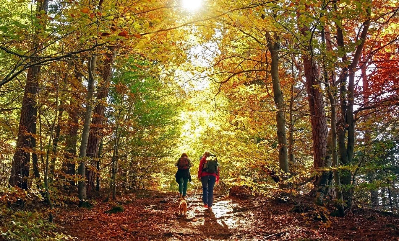 Stress Awareness Month 2026